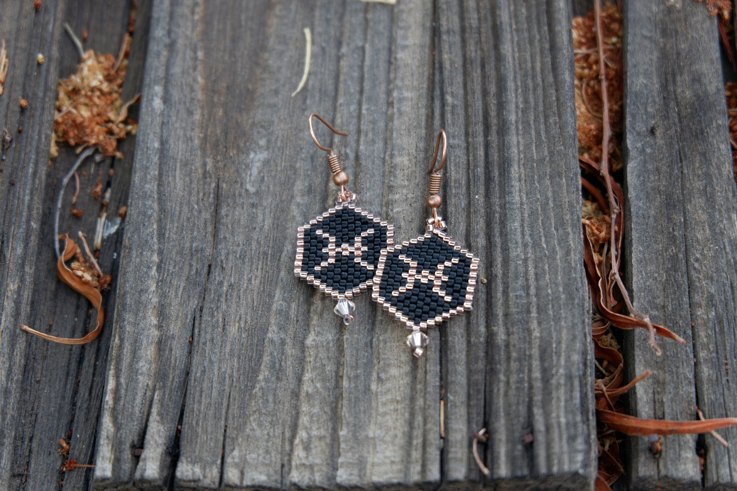 Zodiac PISCES Earrings