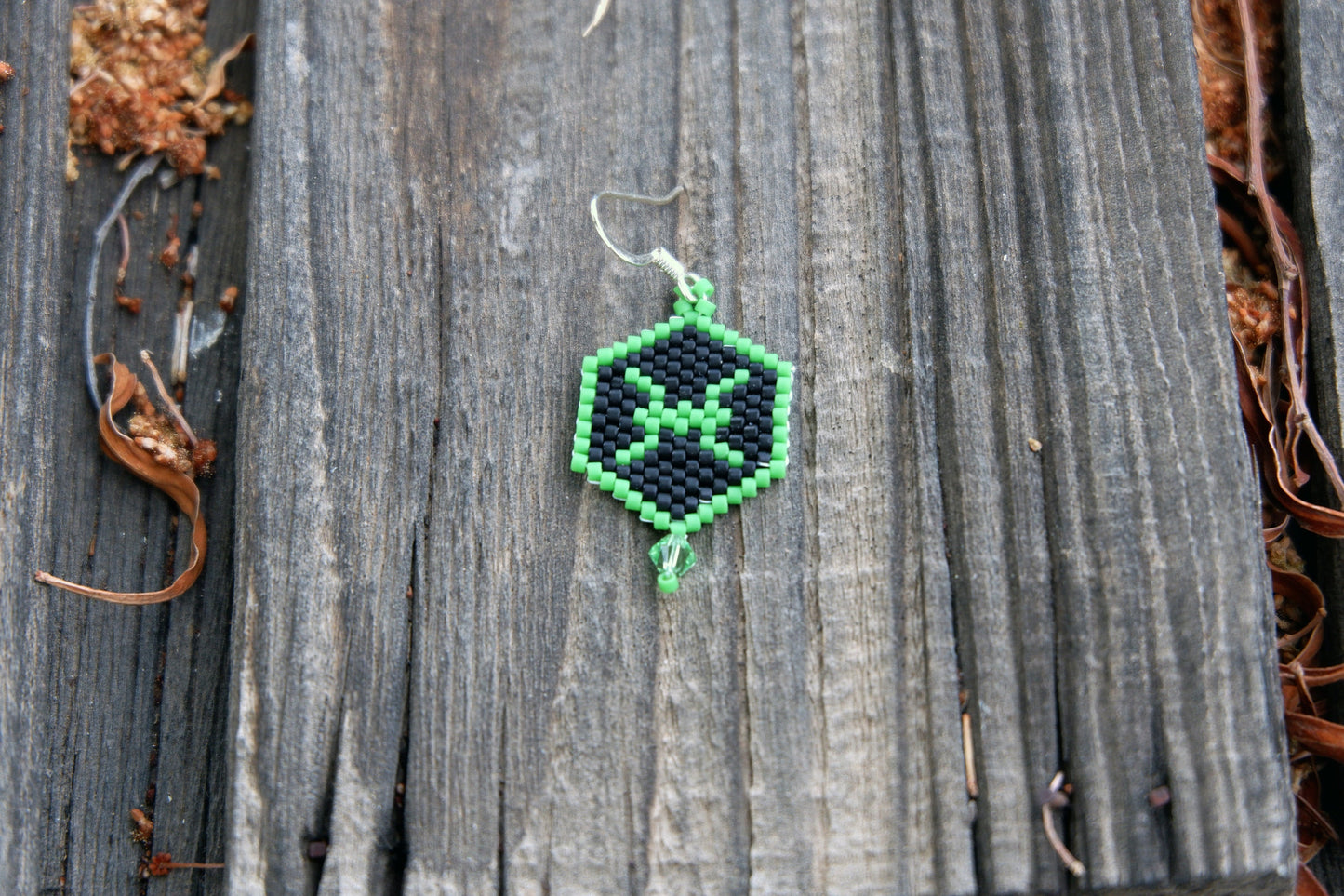 Zodiac PISCES Earrings